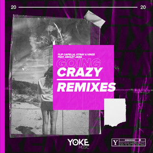 Going Crazy (Ron Starz Remix)