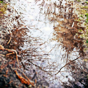 Realities Practical Quid