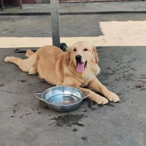 别怕我伤心_mix_3(1)