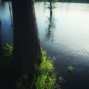 Inner Still