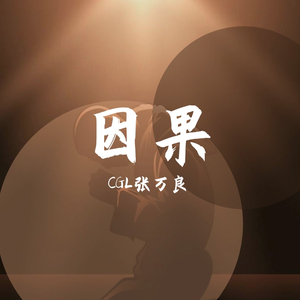 Sting-因果(这个杀手不太冷remix)（CGL张万良 remix）