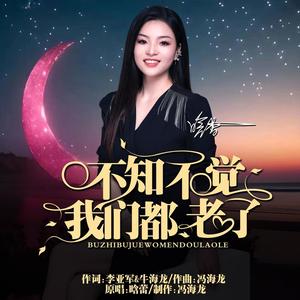 不知不觉我们都老了 (DJ版)