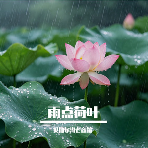 雨点荷叶