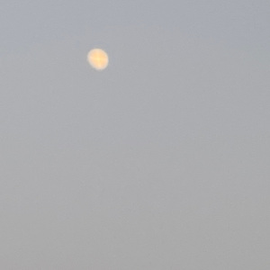 好像掉进爱情海里