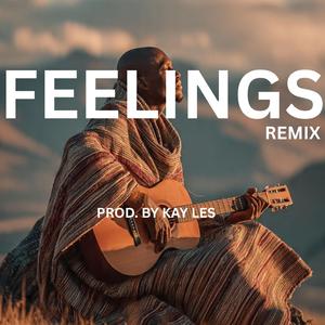 FEELINGS