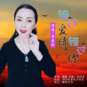 错过爱情错过你（伴奏）