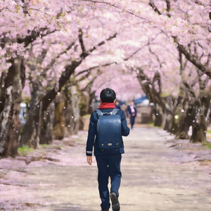 また桜の下で君の笑顔に会えますように