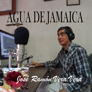 Agua de Jamaica