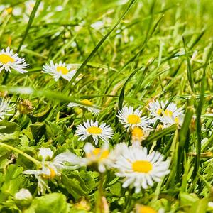 빛 따라 (Follow the Light)