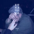 爱情是一条忧伤的鱼 (Remix)