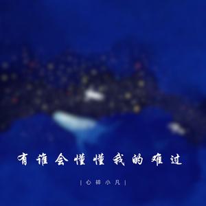 有谁会懂懂我的难过