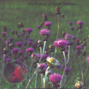 Surfing on Steam(a)Deep Inside the Sun(b)Endless Experience