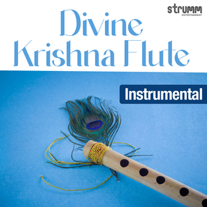 Govind Bolo & Shri Krishna Govind (Instrumental)