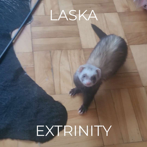 Laska