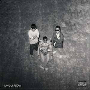 JUNGLI FLOW