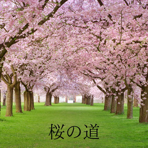 桜の道