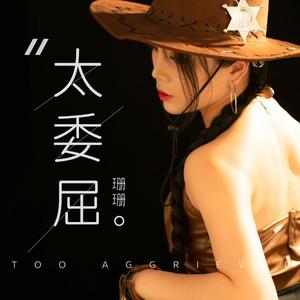 太委屈伴奏