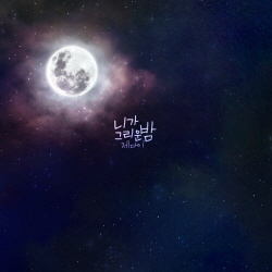 니가 그리운 밤