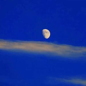 ฅ^•ﻌ•^ฅ♪ღ