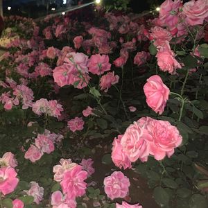 超rage Prod.赖建宜