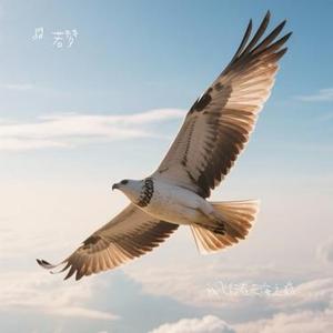 我飞行在云海之巅