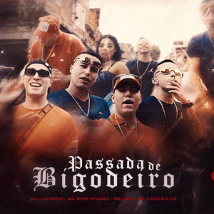 Passada de Bigodeiro