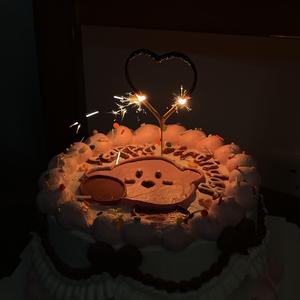 wish you were gay（翻自 Billie Eilish）