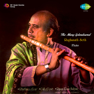 Rhythms Of Joy - Ptraghunath Seth