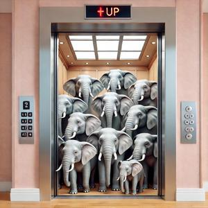Elephant Elevator Music