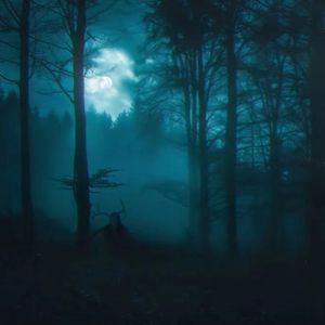 [Trap]RICHNOMADIC X Gunna X 中国风 Type beat - 森林