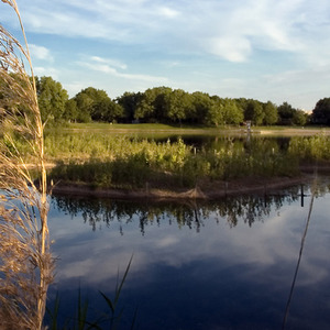 听说立冬初雪的这一天