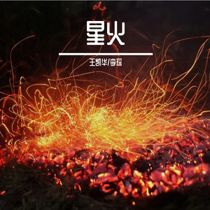 星火(王凯华/李琛)
