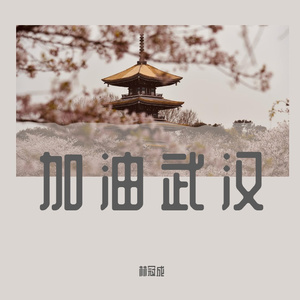 武汉，你一定要加油