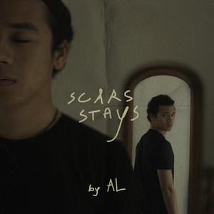 Scars Stays