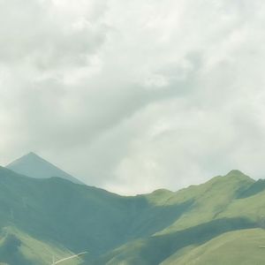 你从没有呼唤过我名字