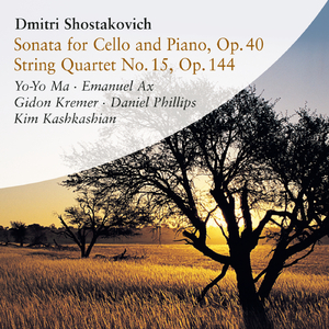 Cello Sonata in D Minor, Op. 40:II. Allegro