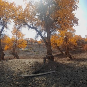 45岁的负重人生