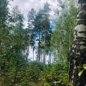 Lastone (feat. Volodymyr Gnatenko)