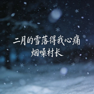 二月的雪落得我心痛