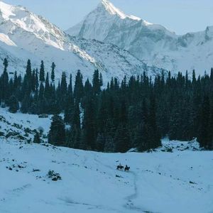 像在说晚安（古筝）