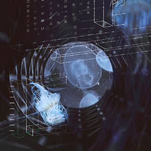 99℃溺亡（翻自 漆柚/小五沉沉沉/三无MarBlue）