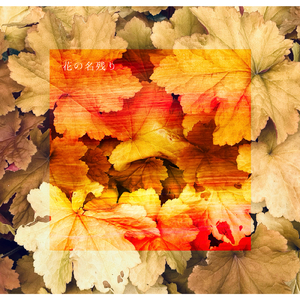 銀座猿楽通商店街