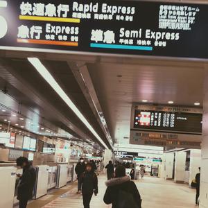 预谋邂逅（cover：阿肆）