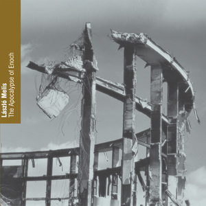 The Apocalypse of Enoch:IV. Look at the Earth