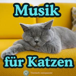 Katzen Entspannungsmusik – Die Katze im Mond