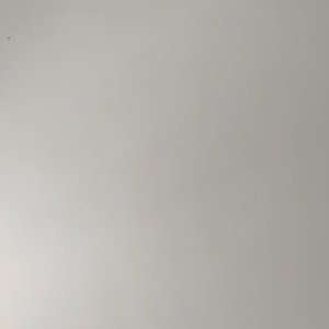 被世界遗忘的人