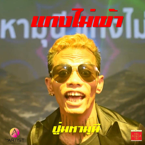 แทงไม่เข้า