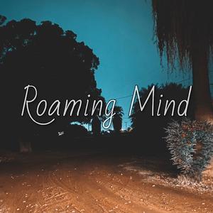 Roaming Mind