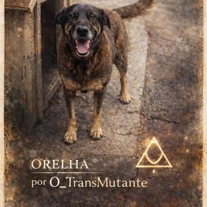 ORELHA (SEM ODIO)