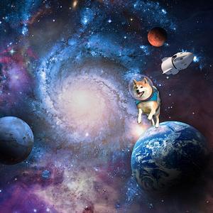 Astro Shiba